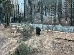 -太原动物园
