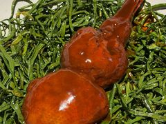 -兰庭玉树·老饭骨家宴(后海店)