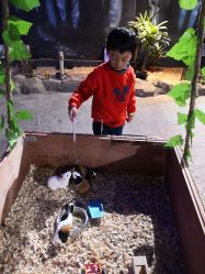 -酷嗒动物文化乐园(cutezoo西溪乐天城店)