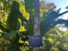 -中国科学院西双版纳热带植物园