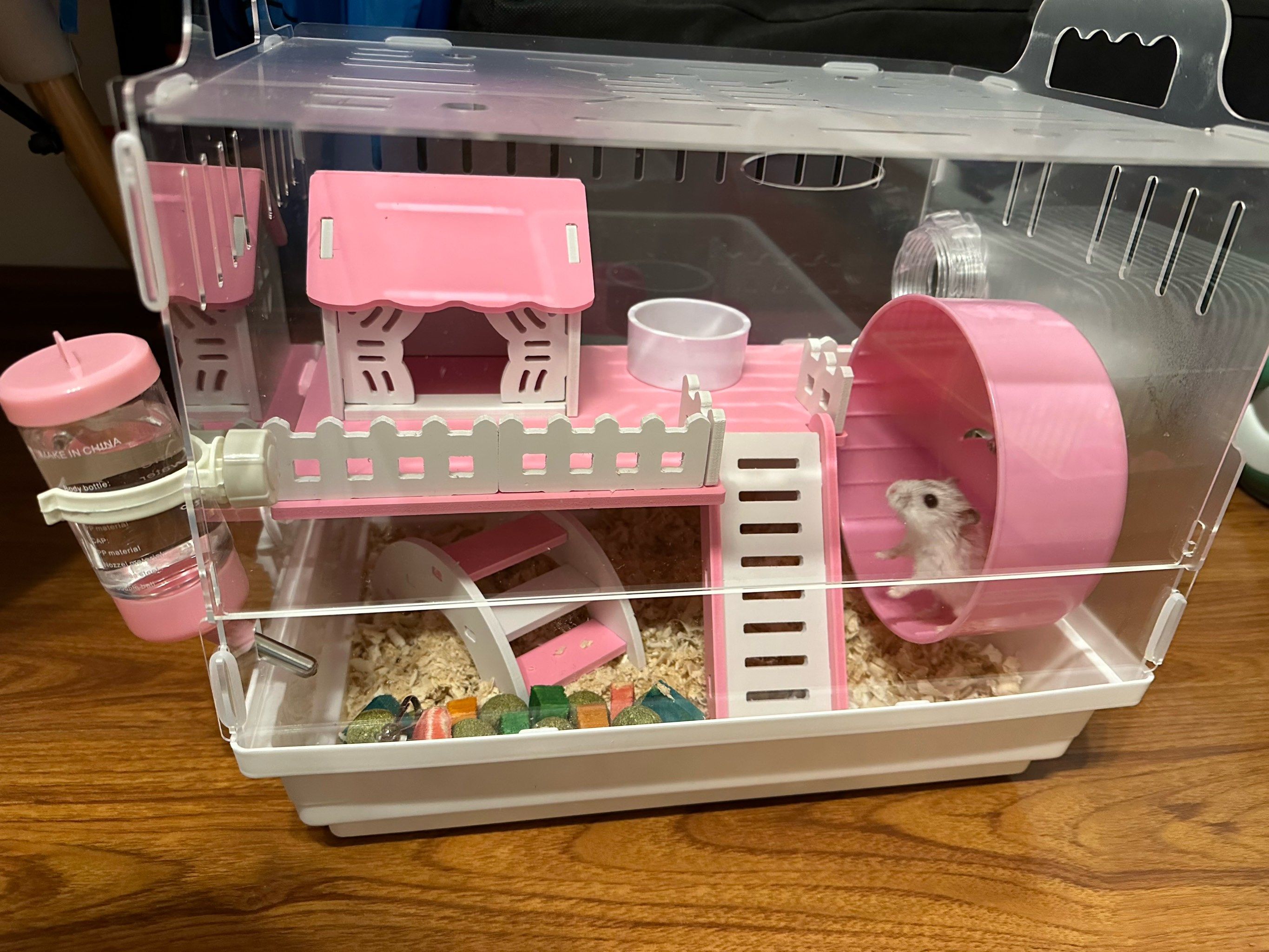 小仓鼠换新家了🐹
