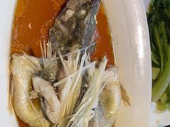 -龙抄手食府(浣花北路店)