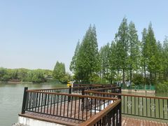 -黄兴公园