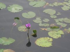 -牛岗山公园