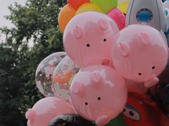 -兰拓相机租赁·二手(杭州店)