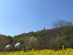 -苏州上方山国家森林公园
