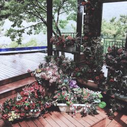 点击看大图 -薇喜影像艺术中心 ART PHOTO