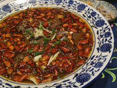 -院8里·少城记忆老川菜(宽窄巷子店)