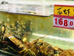 -鑫悦楼煎蟹·16年海鲜大排档
