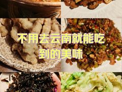 -雀舞云南菜(天津天河城购物中心店)