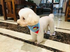 -喵汪宠物生活馆(涞坊路店)