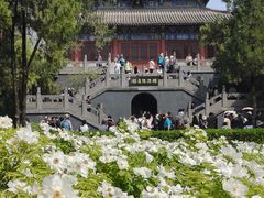 -洛阳白马寺