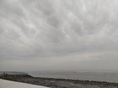 -南汇新城海滩