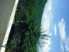 -溪口-滕头旅游景区