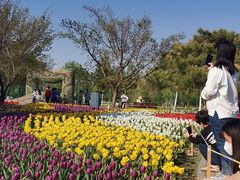 -长春公园(普阳街道)