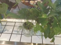 -美美餐厅(海珠首店)