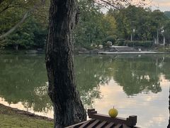 -湘湖大院(越王路店)