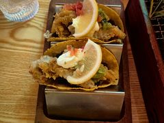 -Famous肥猫墨西哥音乐餐吧(五棵松华熙LIVE店)