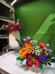 -乐高授权专卖店(岭南站NOVA店)