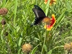 -沈阳辉山风景区