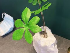 -江南里·新浙菜(苏州大悦城店)