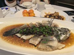 -南麓·浙里(外滩店)