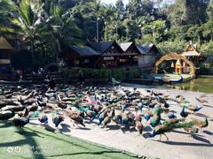 -西双版纳原始森林公园