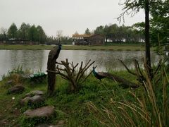 -宁波杭州湾国家湿地公园