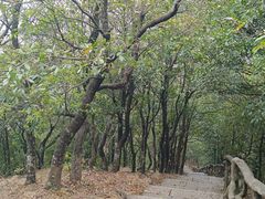 -梧桐山风景名胜区