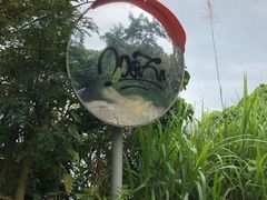 -南丫岛