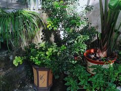 -行人小筑·茶馆(岑村火炉山分店)