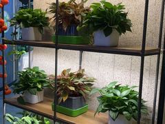 -番食园鲜食火锅(高新店)