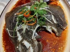 清蒸多宝鱼-光明招待所(邦凯科技园店)