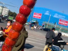 -和禄德冰糖葫芦