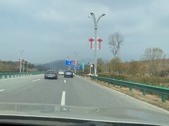 -庐山风景名胜区-东林大佛