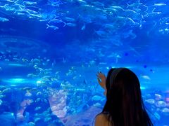 -海合安武汉极地海洋公园