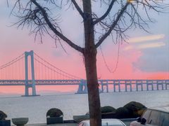 -星海湾跨海大桥