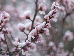 -青藏高原野生动物园