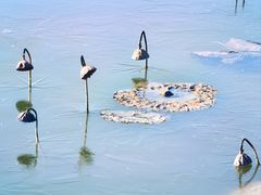 -野鸭湖国家湿地公园