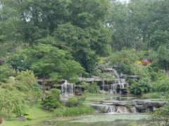 -东莞植物园