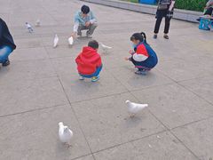 -海河外滩公园