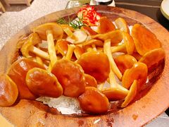 -季季山·云南野生菌火锅(上海首店)