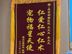 -米苏动物医院·犬猫专科·骨科外科内窥镜