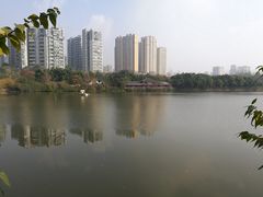 -三圣花乡旅游区