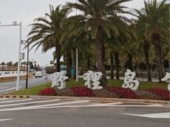 -野狸岛