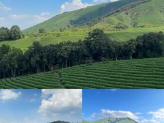 -阿露佳·舌尖上的安吉菜