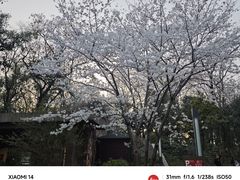 -东湖生态旅游风景区