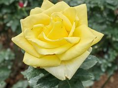 -人民公园(罗湖区)