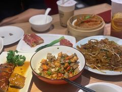 -南枝记