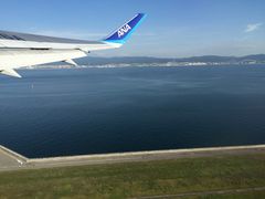 -全日本空输株式会社(上海办事处)